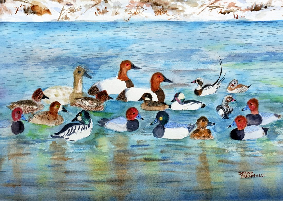 2027 Birds on the Niagara: Canada Weekend