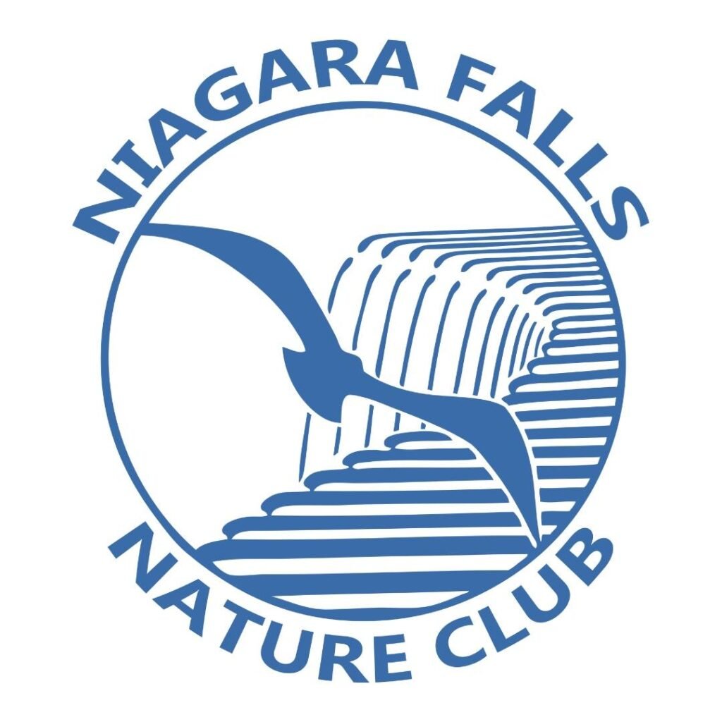 476667412 1007306188110868 4379421873642497586 n