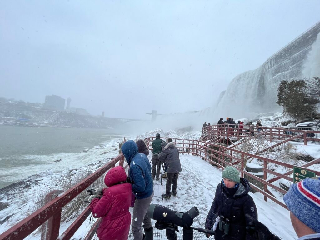 Birding at cave of the winds