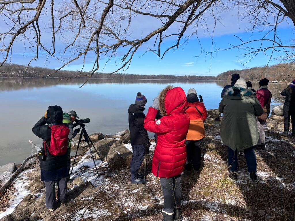 Birding at stella niagara preserve